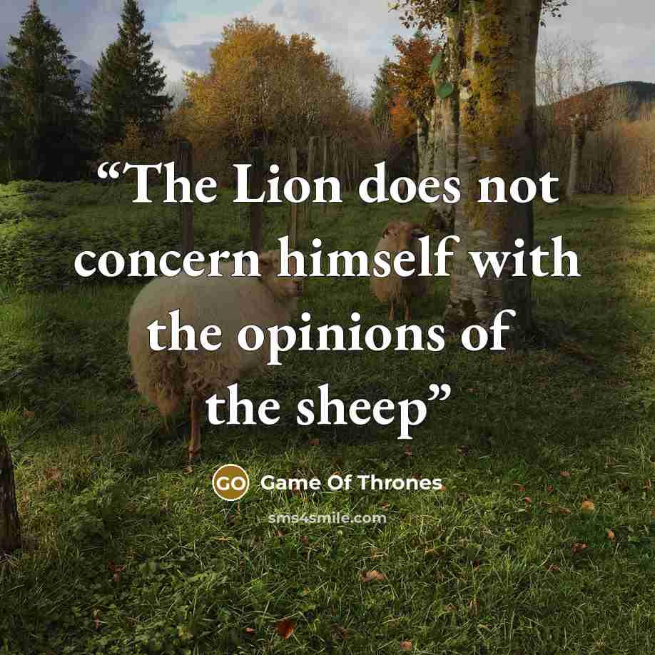 “The Lion does not concern himself with the opinions of the sheep” quote by Game of Thrones