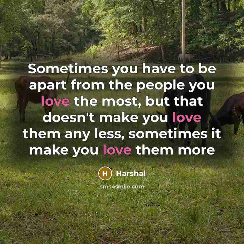 “Sometimes you have to be apart from the people you love the most, but that doesn't make you love them any less, sometimes it make you love them more” quote by Harshal
