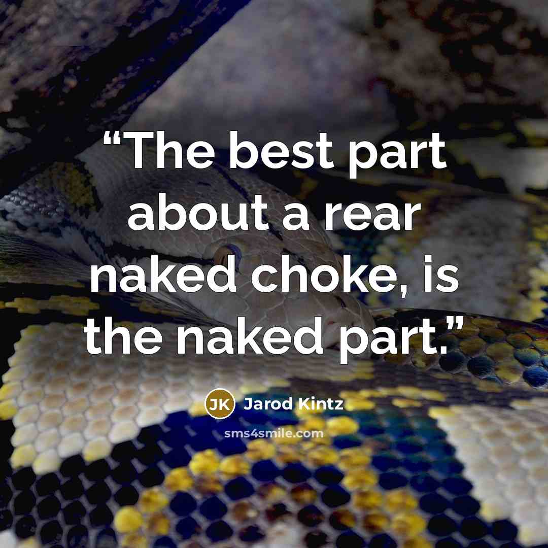 “The best part about a rear naked choke, is the naked part.” quote by Jarod Kintz