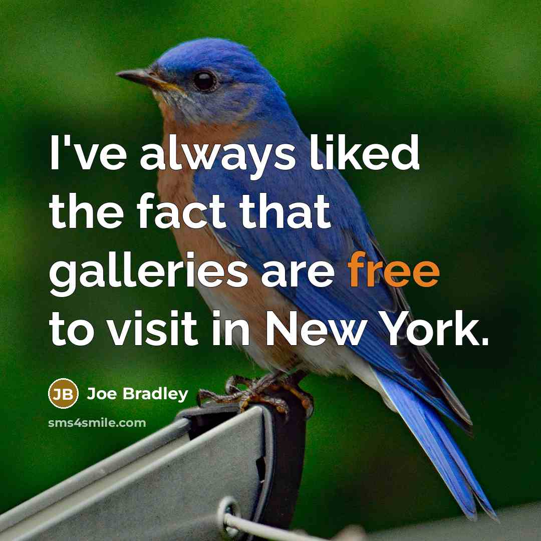 “I've always liked the fact that galleries are free to…” quote by Joe Bradley