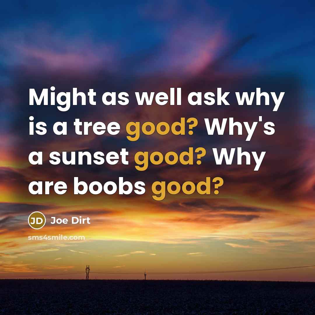“Might as well ask why is a tree good? Why's a sunset good? Why are boobs good?” quote by Joe Dirt