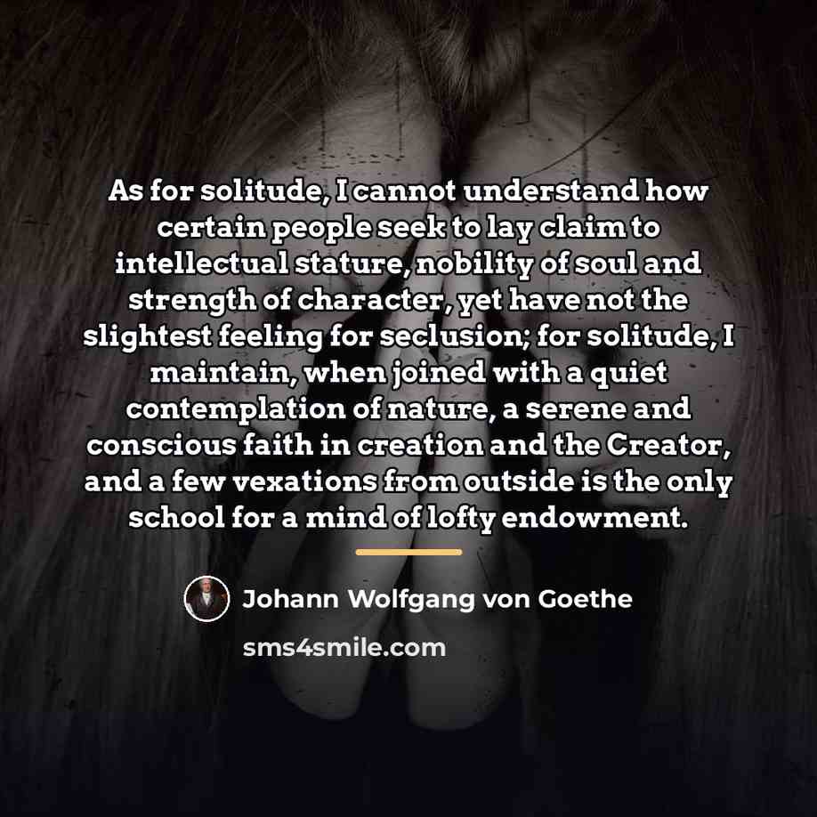 “As for solitude, I cannot understand how certain people seek…” quote by Johann Wolfgang von Goethe