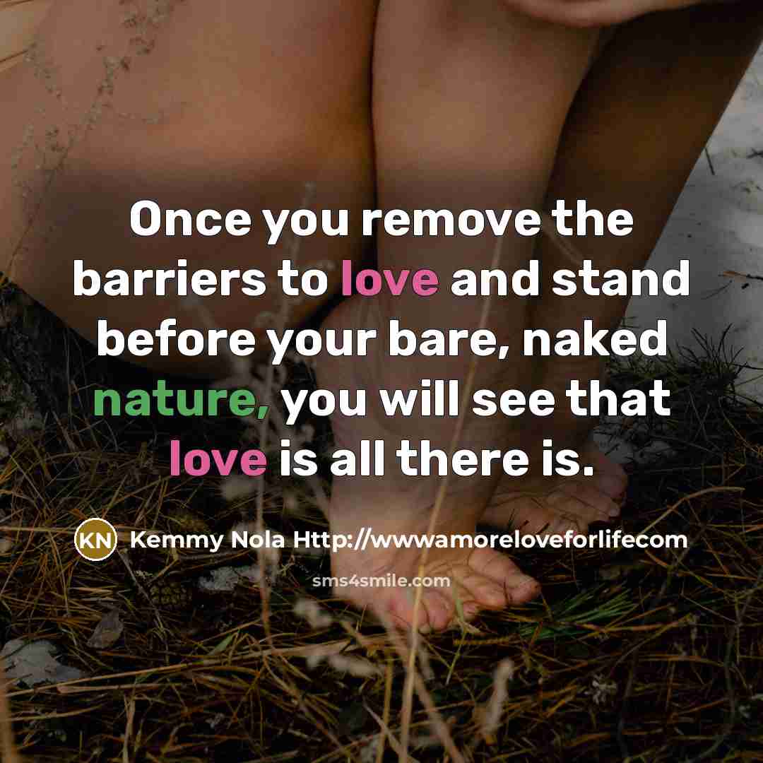 “Once you remove the barriers to love and stand before your bare, naked nature, you will see that love is all there is.” quote by Kemmy Nola Http://wwwamoreloveforlifecom