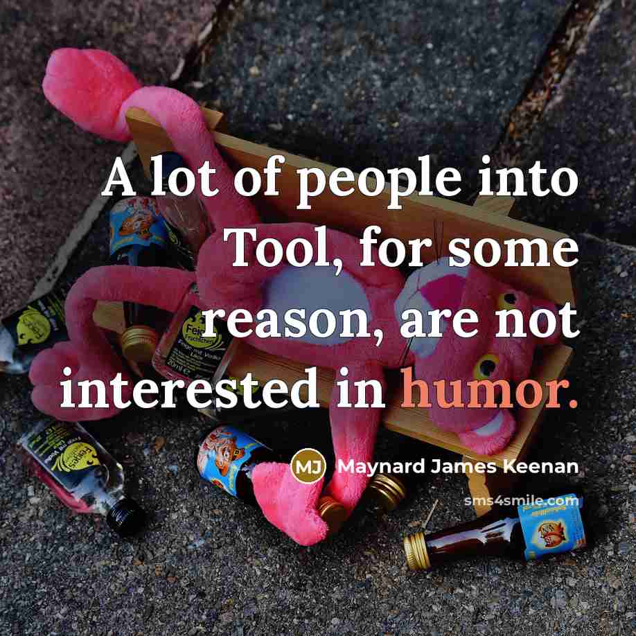 “A lot of people into Tool, for some reason, are not interested in humor.” quote by Maynard James Keenan