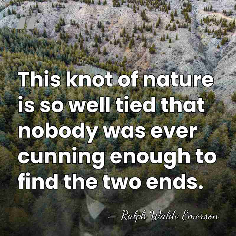 This knot of nature is so well tied that nobody was ever&hellip; - Ralph Waldo Emerson