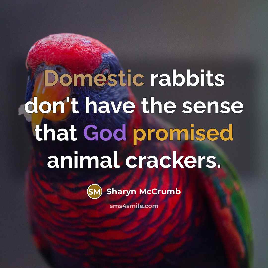“Domestic rabbits don't have the sense that God promised animal…” quote by Sharyn McCrumb