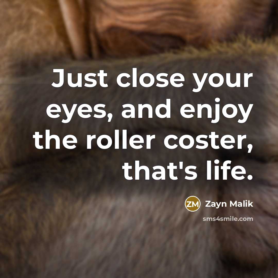 “Just close your eyes, and enjoy the roller coster, that's…” quote by Zayn Malik