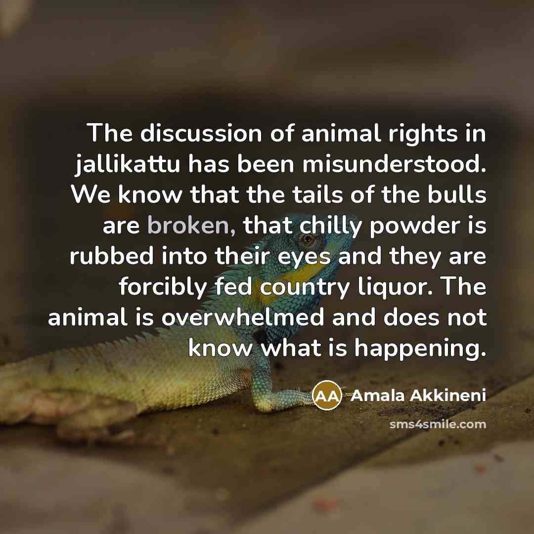 “The discussion of animal rights in jallikattu has been misunderstood. We know that the tails of the bulls are broken, that chilly powder is rubbed into their eyes and they are forcibly fed country liquor. The animal is overwhelmed and does not know what is happening.” quote by Amala Akkineni