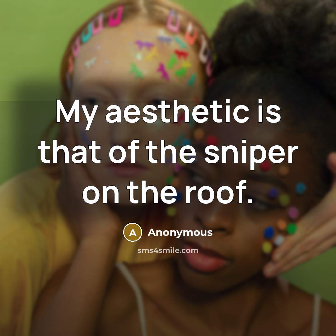 “My aesthetic is that of the sniper on the roof.…” quote by Anonymous