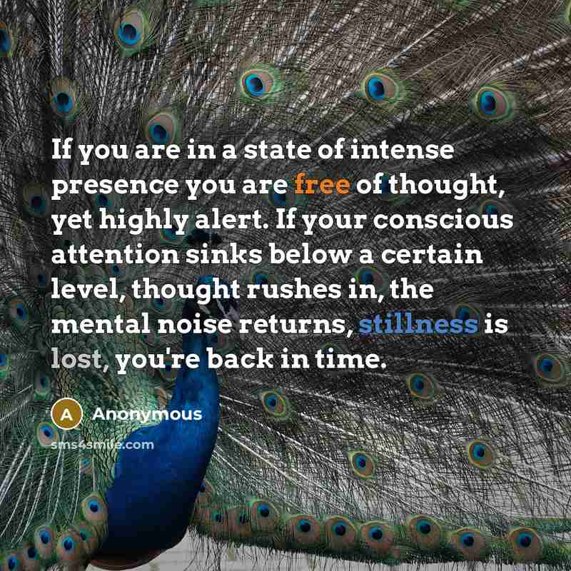 “If you are in a state of intense presence you…” quote by Anonymous