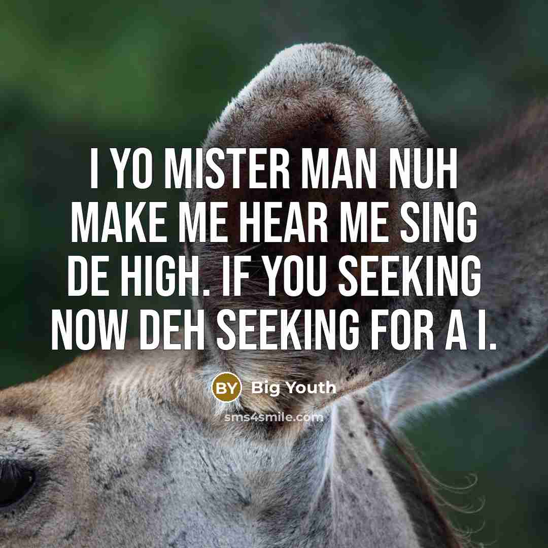 “I yo mister man nuh make me hear me sing de high. If you seeking now deh seeking for a I.” quote by Big Youth
