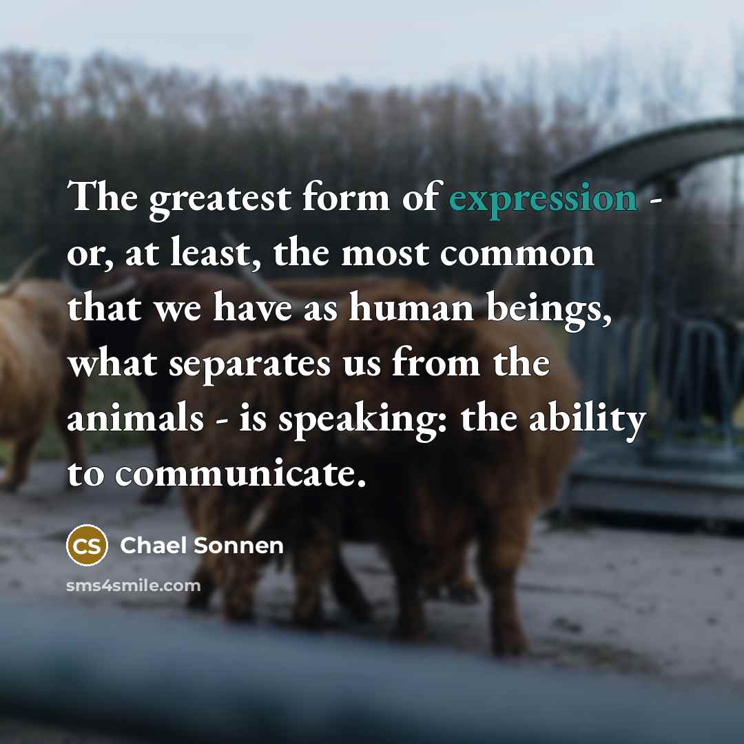“The greatest form of expression - or, at least, the…” quote by Chael Sonnen