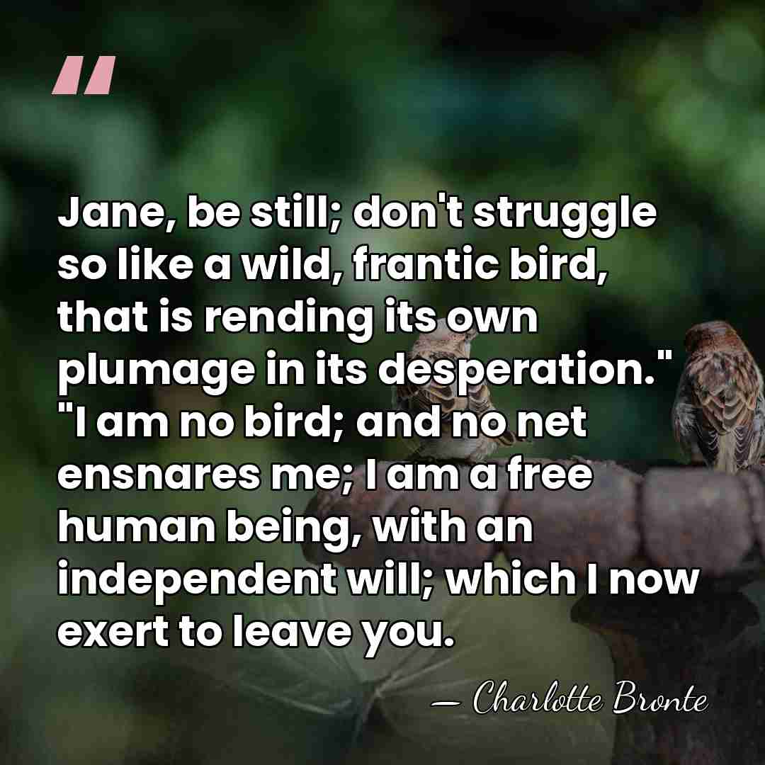 Jane, be still; don't struggle so like a wild, frantic bird, that&hellip; - Charlotte Bronte