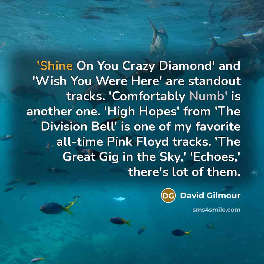 “'Shine On You Crazy Diamond' and 'Wish You Were Here'…” quote by David Gilmour
