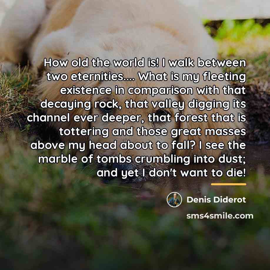 “How old the world is! I walk between two eternities....…” quote by Denis Diderot