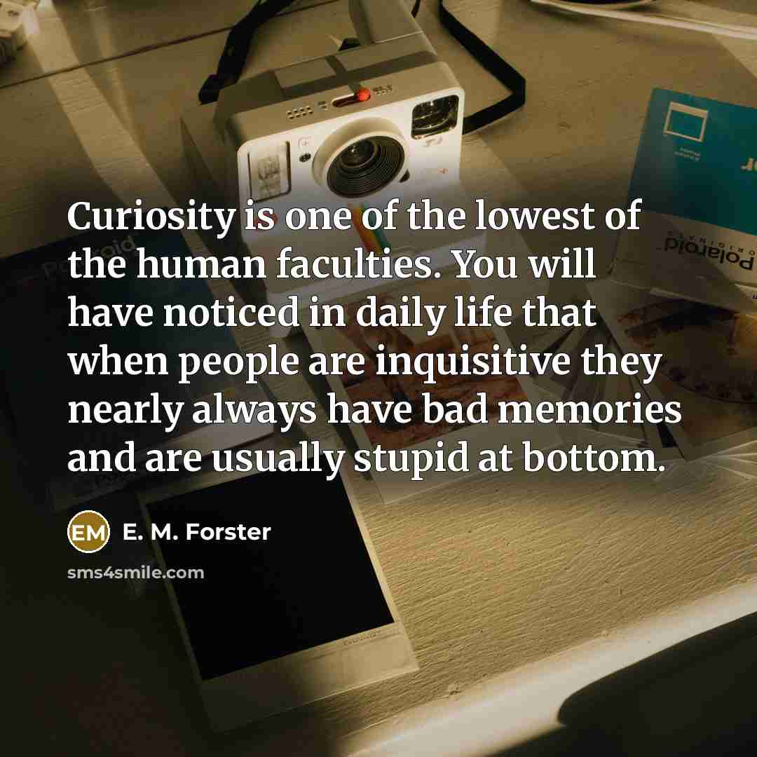 “Curiosity is one of the lowest of the human faculties.…” quote by E. M. Forster