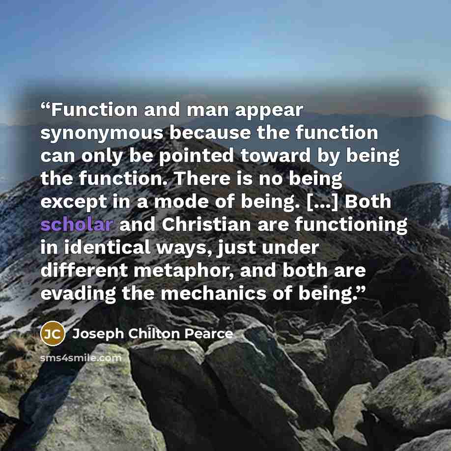 “Function and man appear synonymous because the function can only be pointed toward by being the function. There is no being except in a mode of being. [...] Both scholar and Christian are functioning in identical ways, just under different metaphor, and both are evading the mechanics of being.” quote by Joseph Chilton Pearce