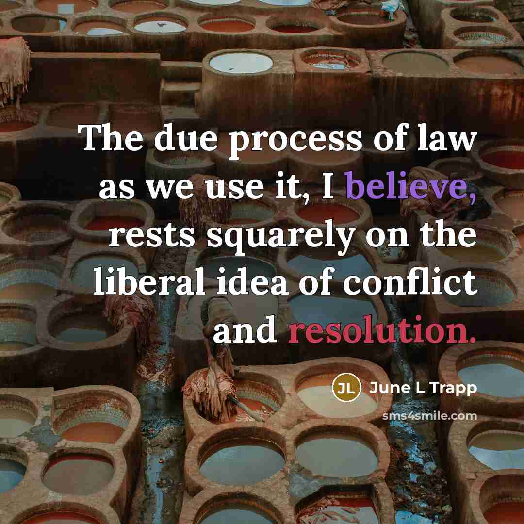 “The due process of law as we use it, I believe, rests squarely on the liberal idea of conflict and resolution.” quote by June L Trapp