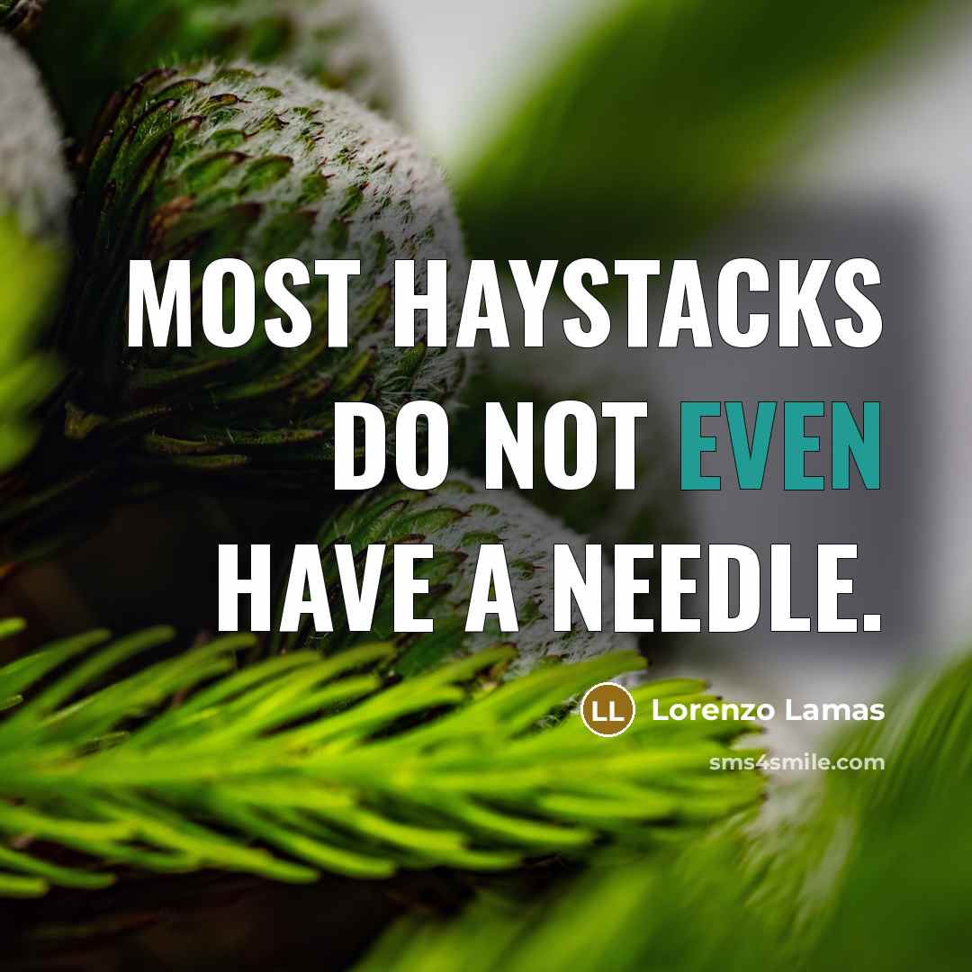 “Most haystacks do not even have a needle.…” quote by Lorenzo Lamas