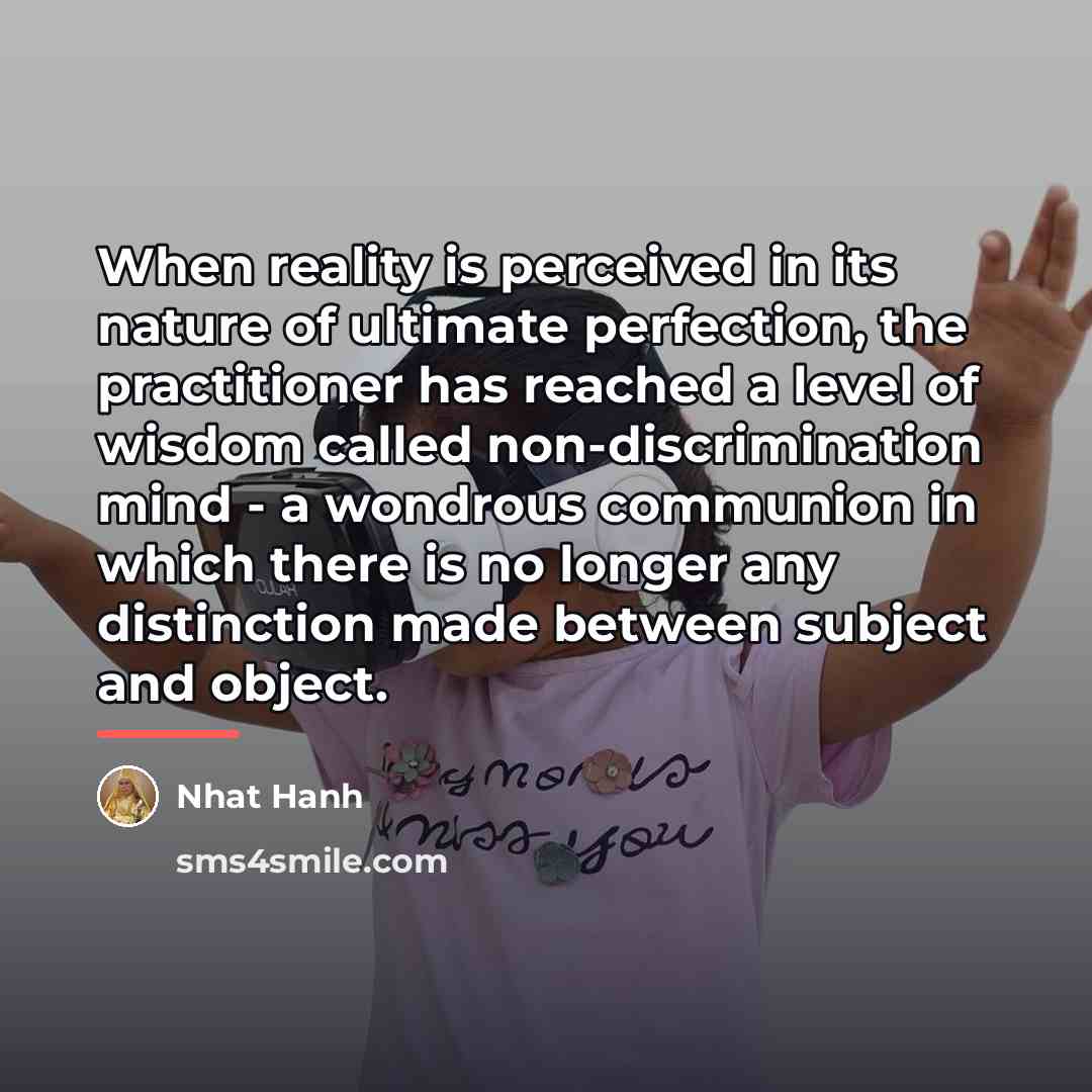 “When reality is perceived in its nature of ultimate perfection,…” quote by Nhat Hanh