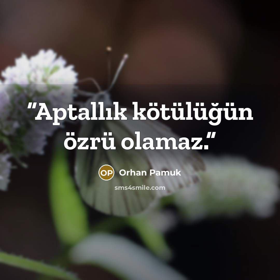 “Aptallık kötülüğün özrü olamaz.” quote by Orhan Pamuk
