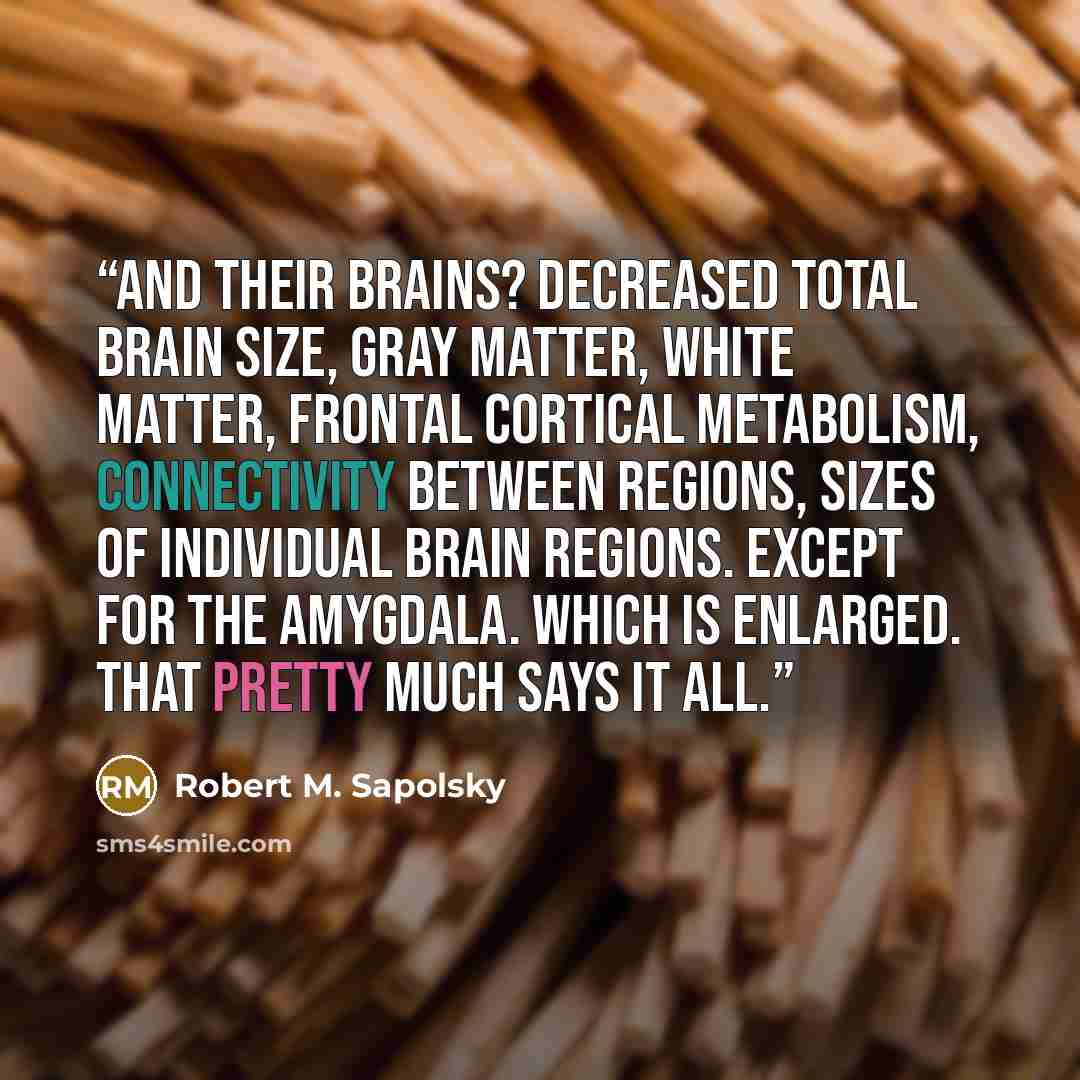 “And their brains? Decreased total brain size, gray matter, white matter, frontal cortical metabolism, connectivity between regions, sizes of individual brain regions. Except for the amygdala. Which is enlarged. That pretty much says it all.” quote by Robert M. Sapolsky