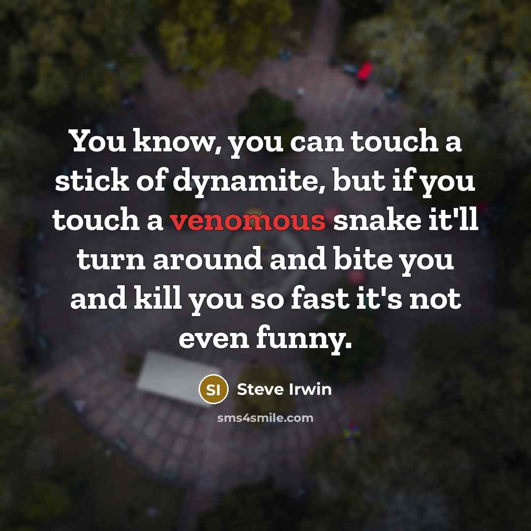 “You know, you can touch a stick of dynamite, but…” quote by Steve Irwin