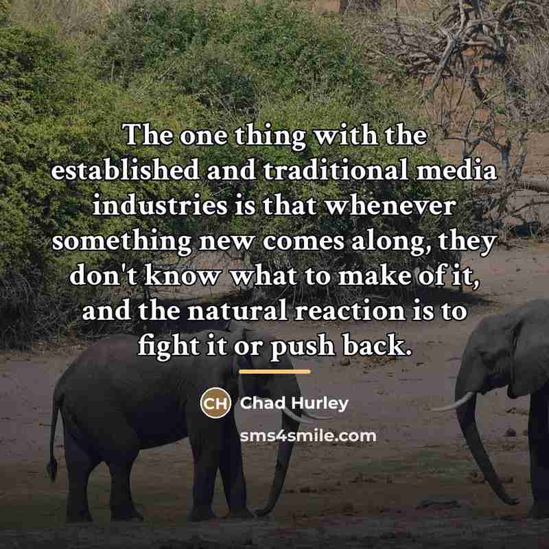 “The one thing with the established and traditional media industries…” quote by Chad Hurley