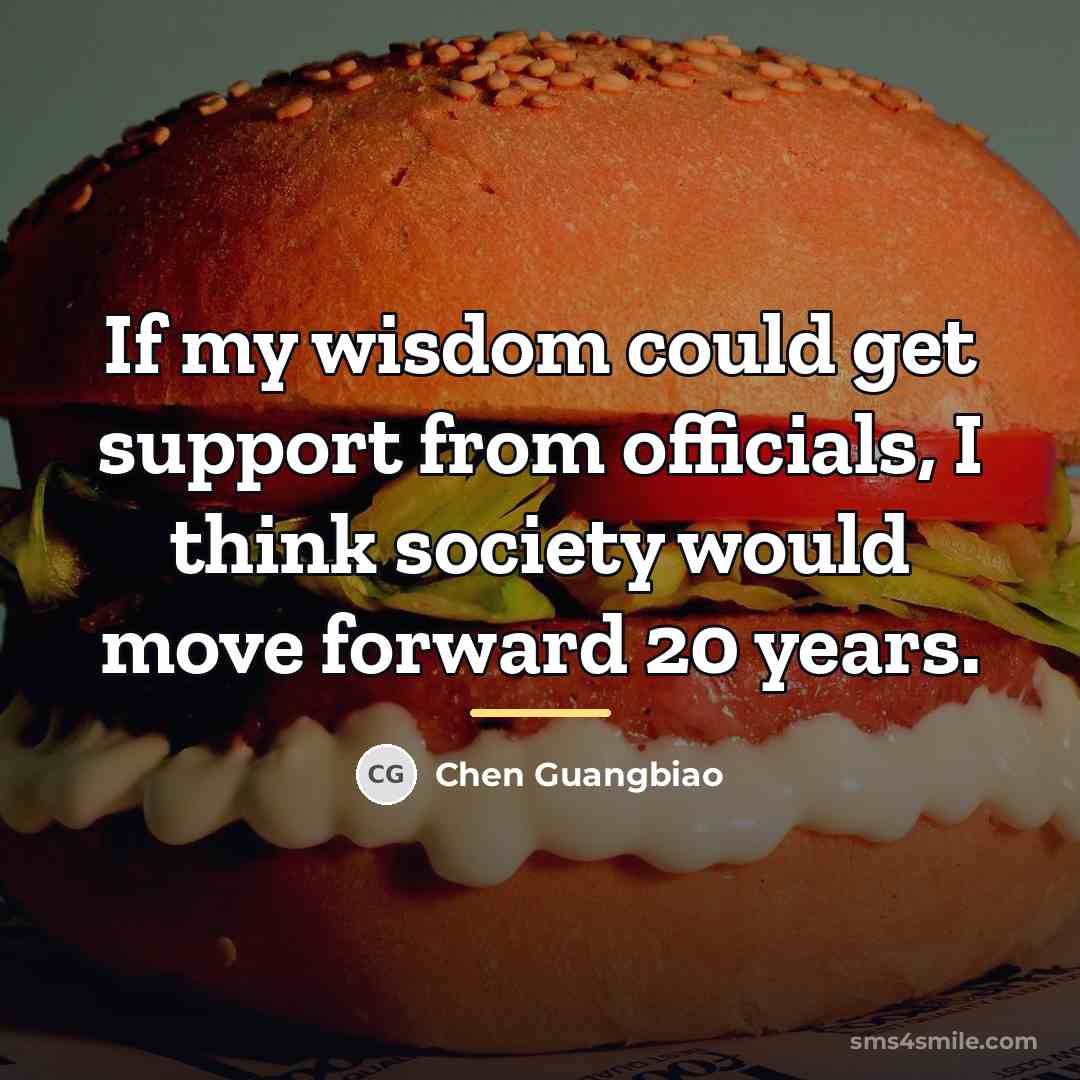 “If my wisdom could get support from officials, I think…” quote by Chen Guangbiao