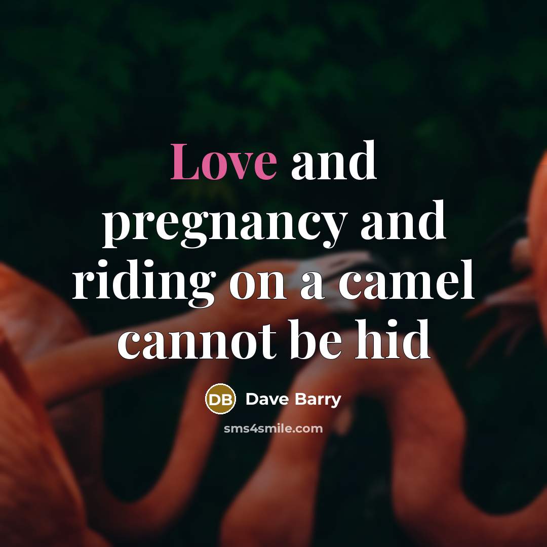 “Love and pregnancy and riding on a camel cannot be hid” quote by Dave Barry