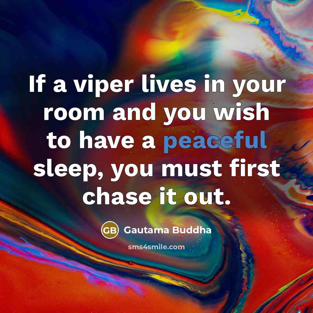 “If a viper lives in your room and you wish…” quote by Gautama Buddha