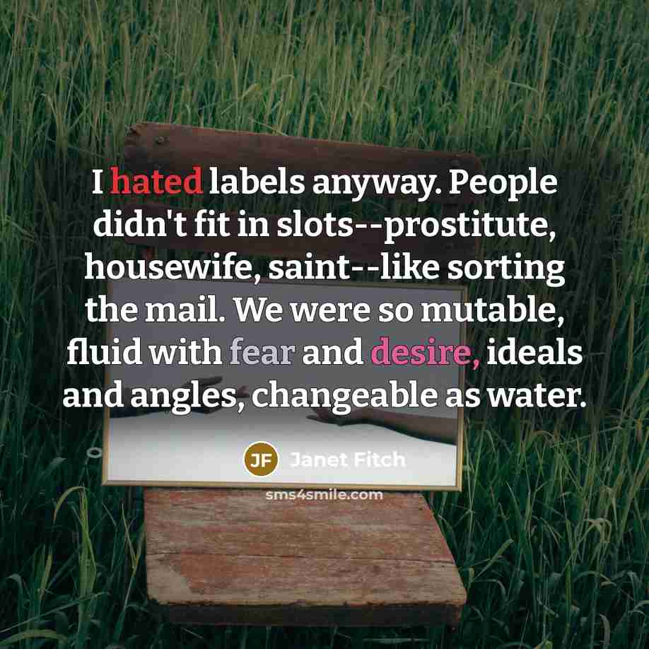 “I hated labels anyway. People didn't fit in slots--prostitute, housewife,…” quote by Janet Fitch