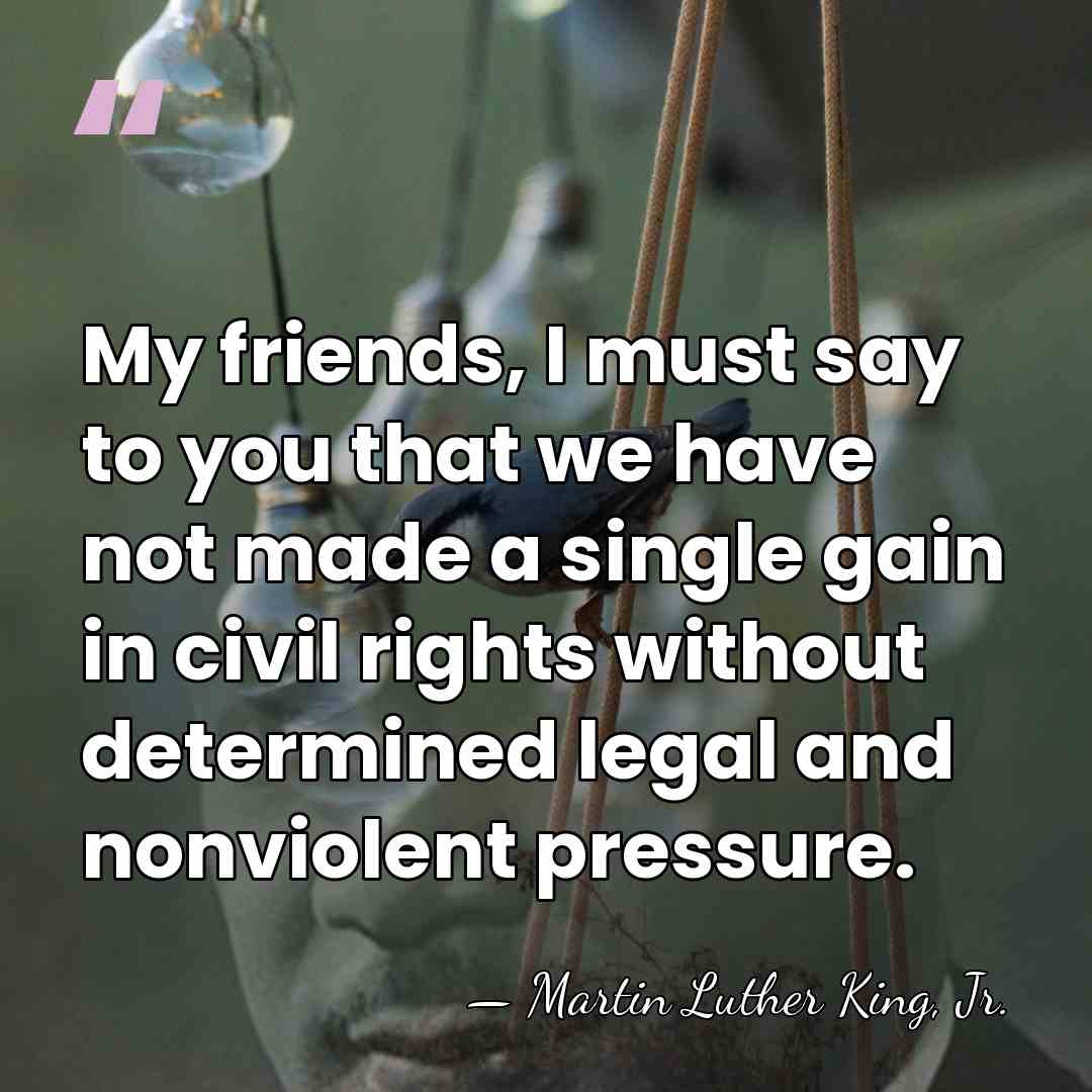 My friends, I must say to you that we have not made&hellip; - Martin Luther King, Jr.
