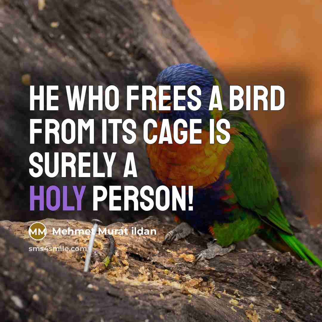 “He who frees a bird from its cage is surely…” quote by Mehmet Murat Ildan