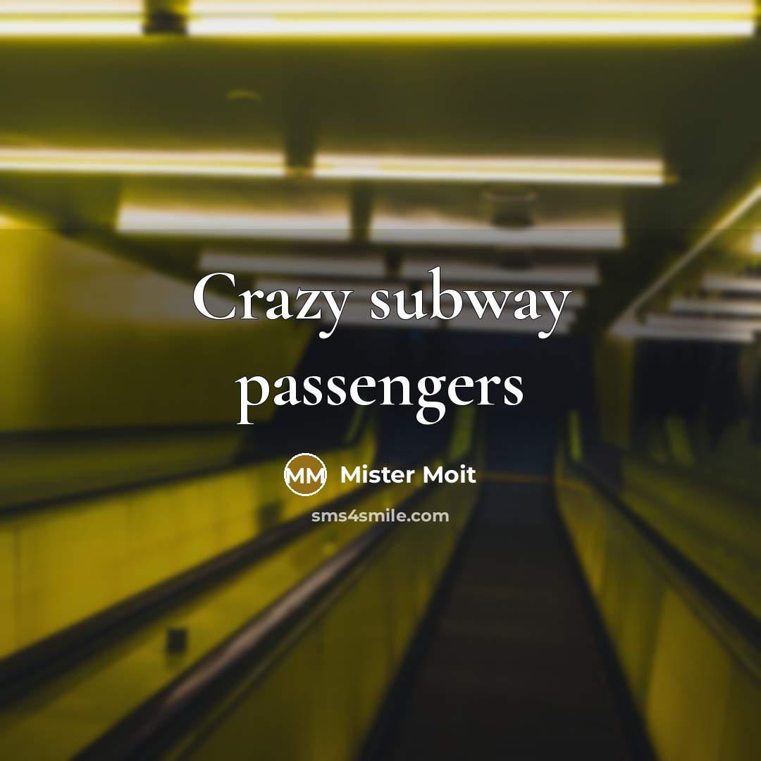 “Crazy subway passengers” quote by Mister Moit