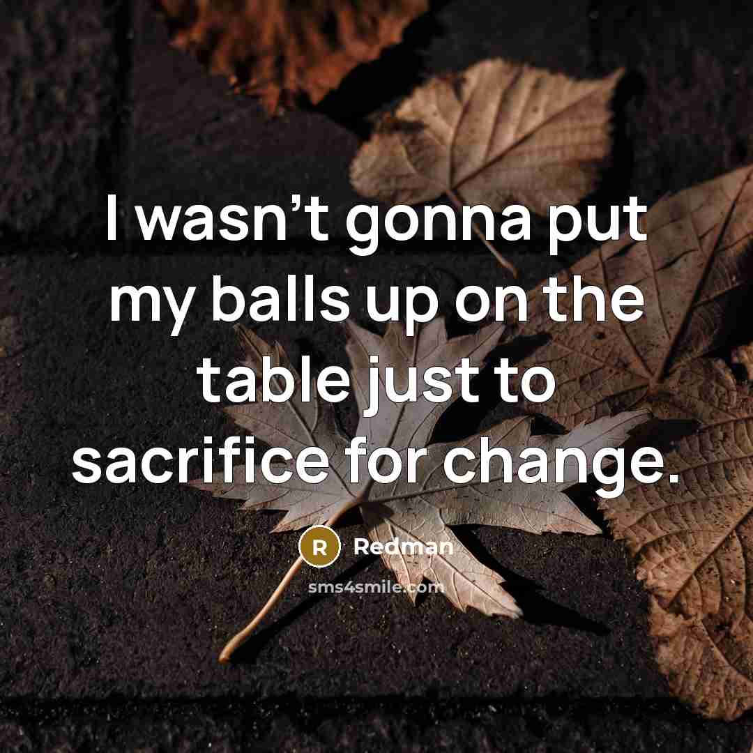 “I wasn't gonna put my balls up on the table…” quote by Redman