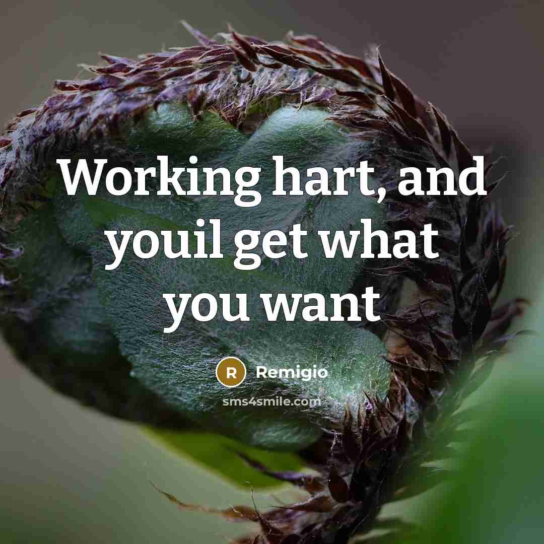 “Working hart, and youil get what you want” quote by Remigio