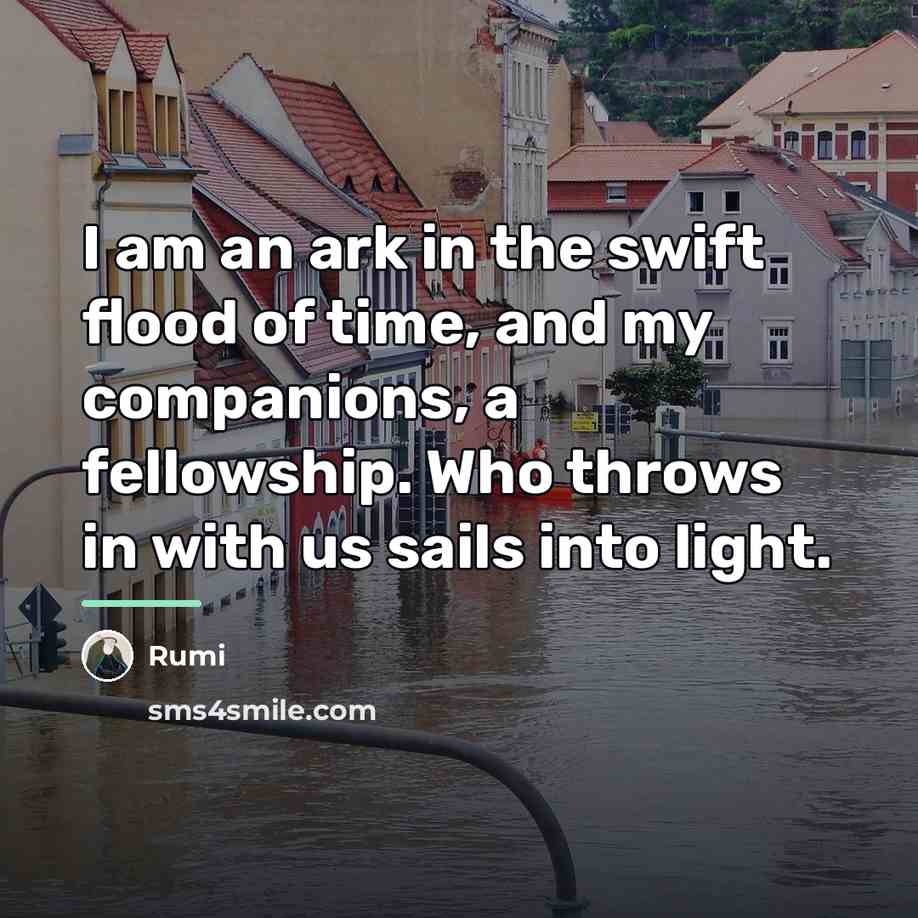 “I am an ark in the swift flood of time,…” quote by Rumi