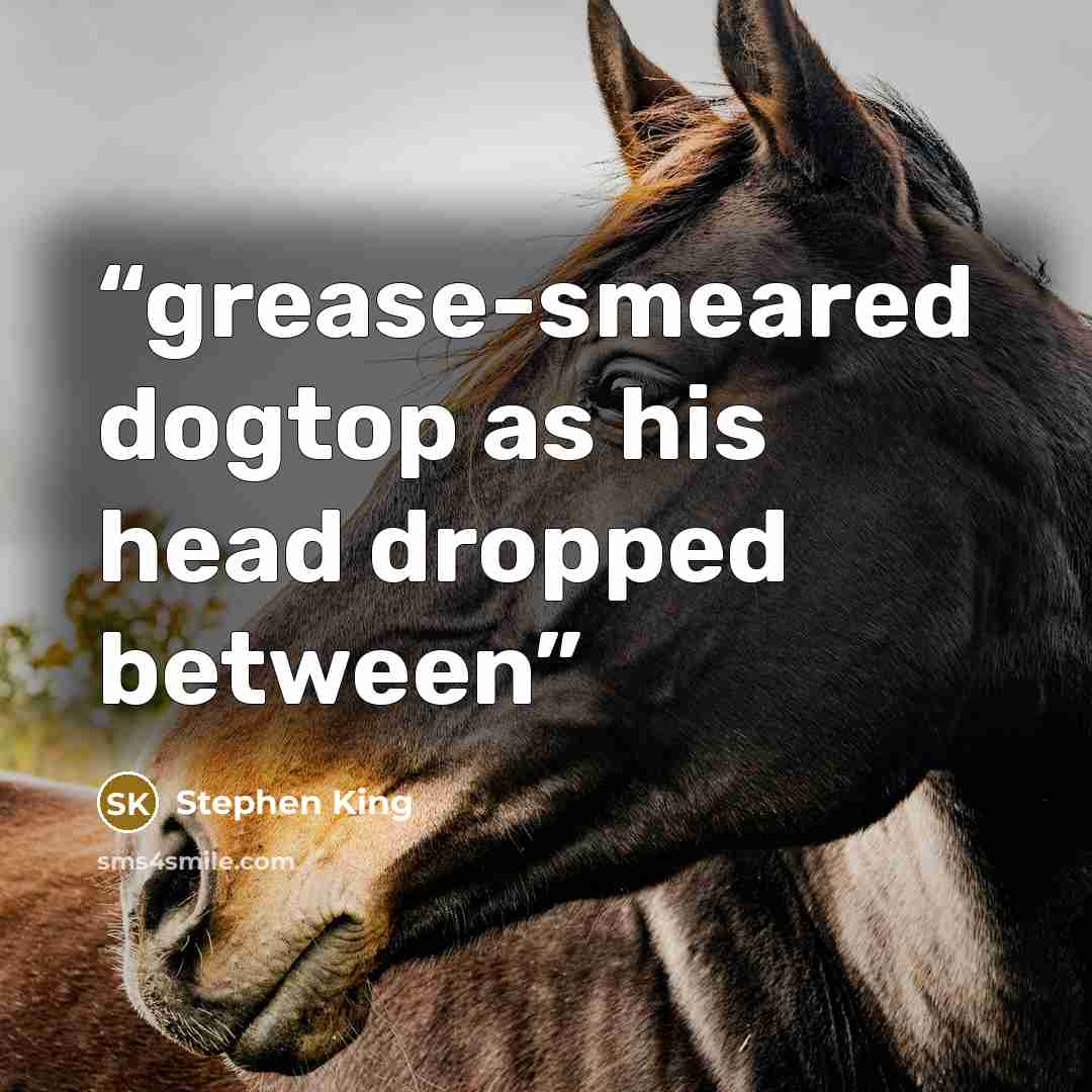 “grease-smeared dogtop as his head dropped between” quote by Stephen King