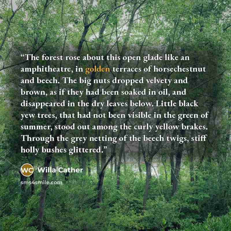 “The forest rose about this open glade like an amphitheatre, in golden terraces of horsechestnut and beech. The big nuts dropped velvety and brown, as if they had been soaked in oil, and disappeared in the dry leaves below. Little black yew trees, that had not been visible in the green of summer…” quote by Willa Cather