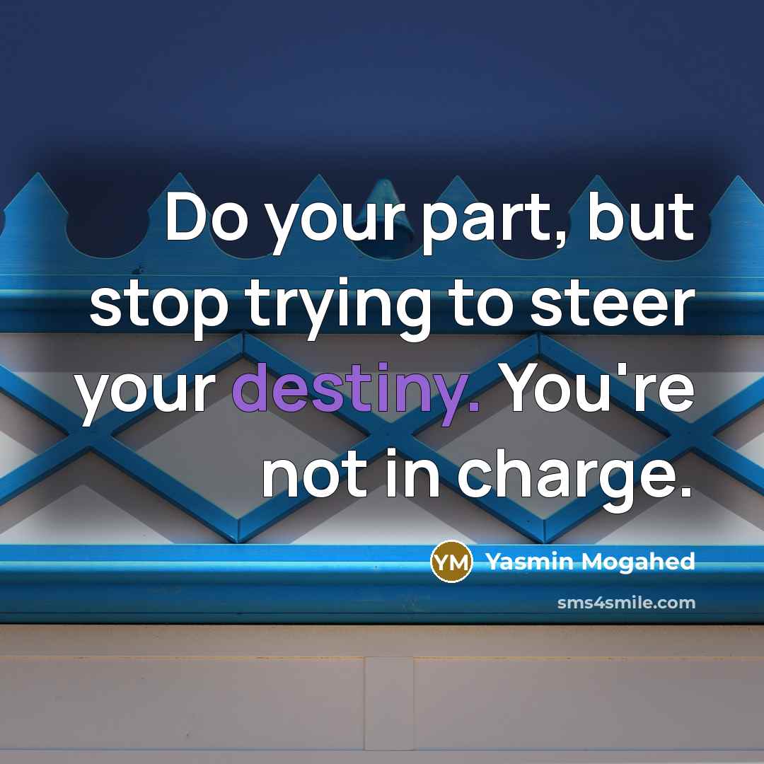 “Do your part, but stop trying to steer your destiny.…” quote by Yasmin Mogahed