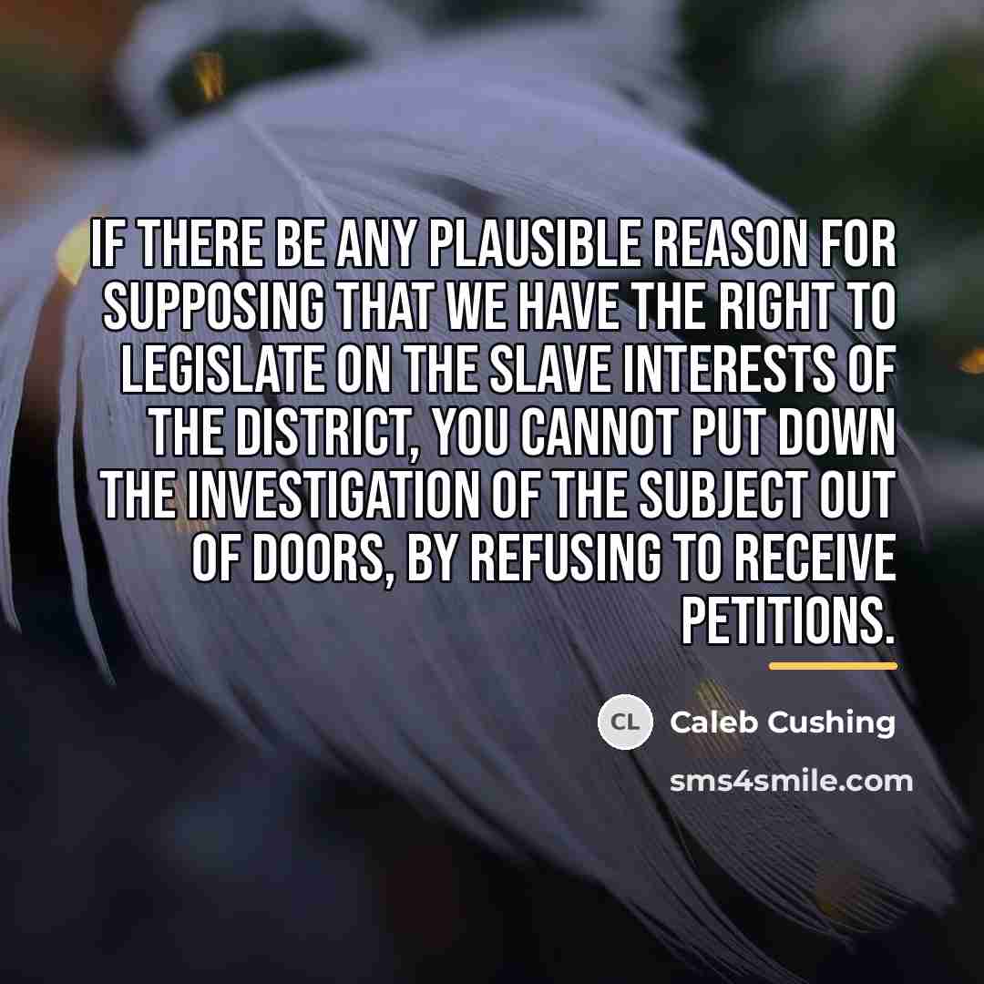“If there be any plausible reason for supposing that we…” quote by Caleb Cushing
