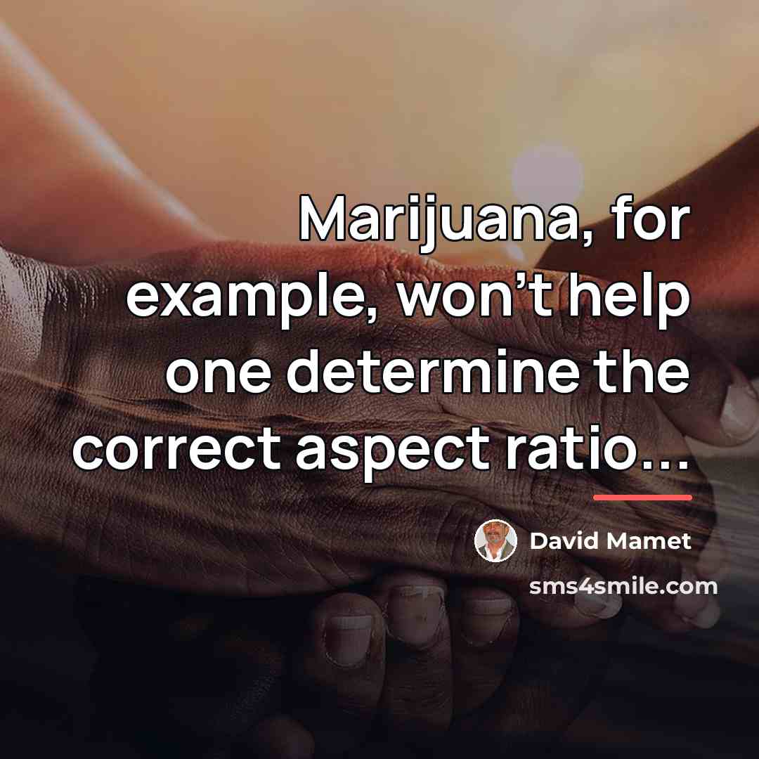 “Marijuana, for example, won't help one determine the correct aspect…” quote by David Mamet