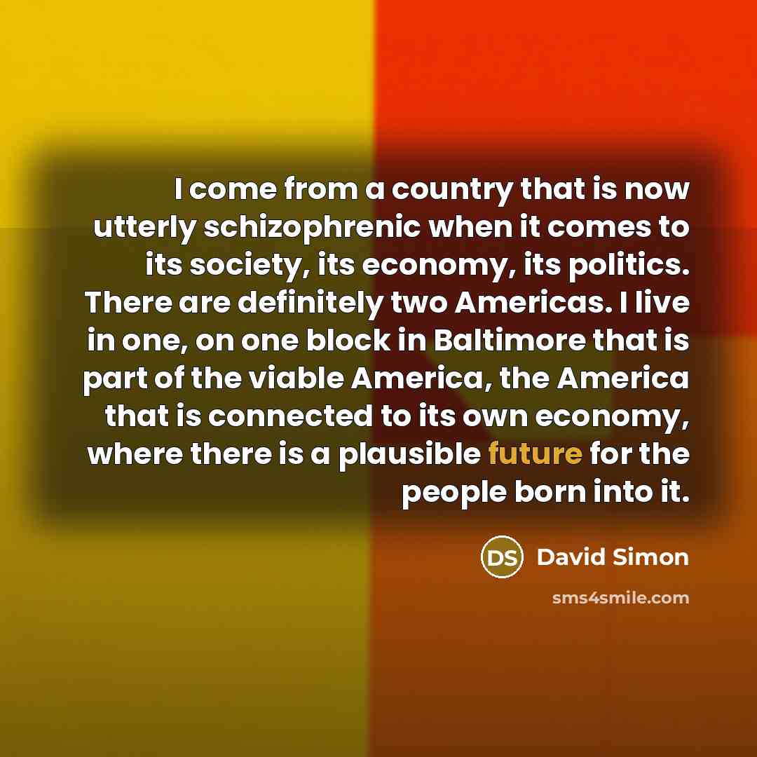 “I come from a country that is now utterly schizophrenic…” quote by David Simon