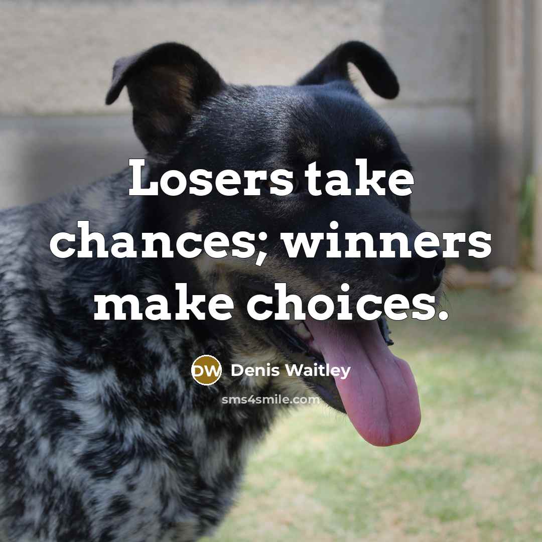 “Losers take chances; winners make choices.…” quote by Denis Waitley
