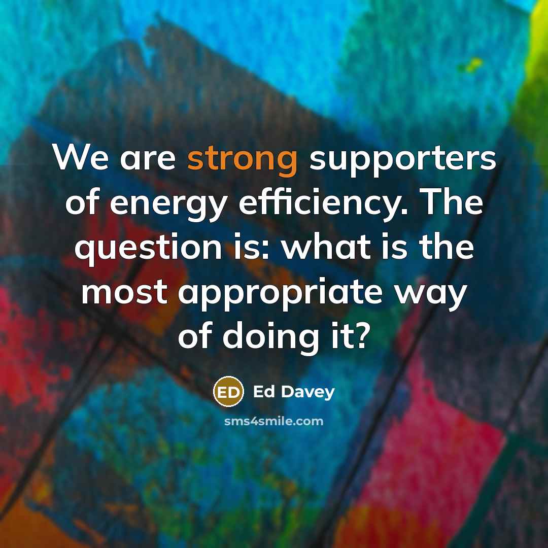 “We are strong supporters of energy efficiency. The question is:…” quote by Ed Davey