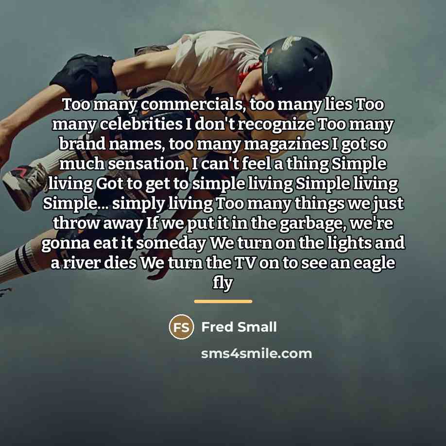 “Too many commercials, too many lies Too many celebrities I…” quote by Fred Small