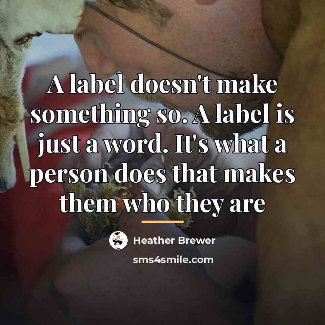 “A label doesn't make something so. A label is just…” quote by Heather Brewer