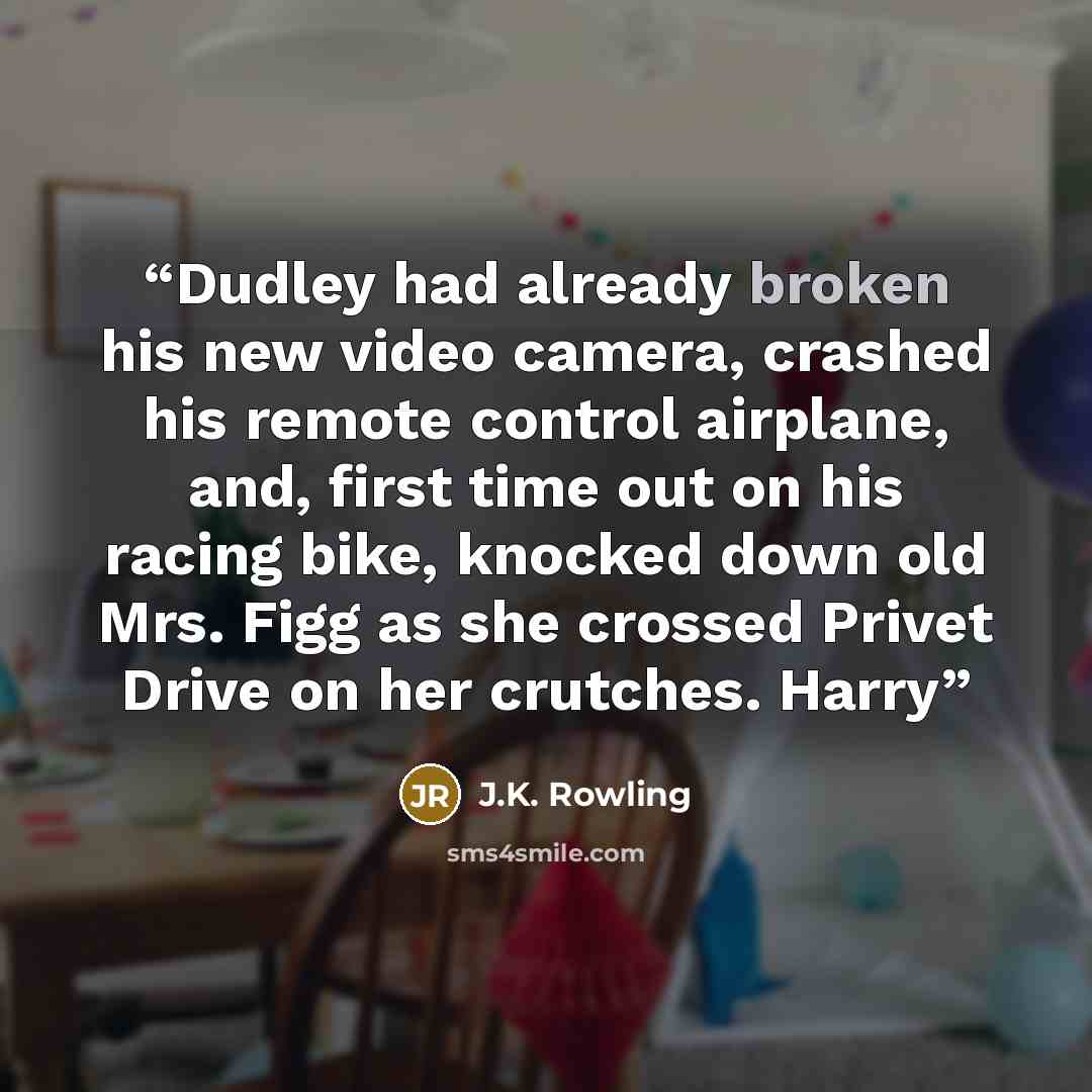 “Dudley had already broken his new video camera, crashed his remote control airplane, and, first time out on his racing bike, knocked down old Mrs. Figg as she crossed Privet Drive on her crutches. Harry” quote by J.K. Rowling