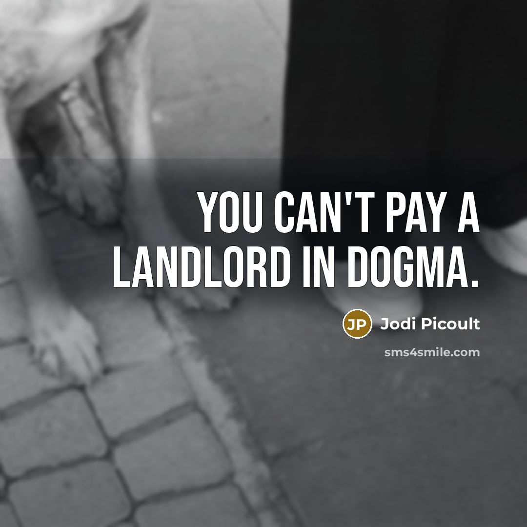 “You can't pay a landlord in dogma.…” quote by Jodi Picoult
